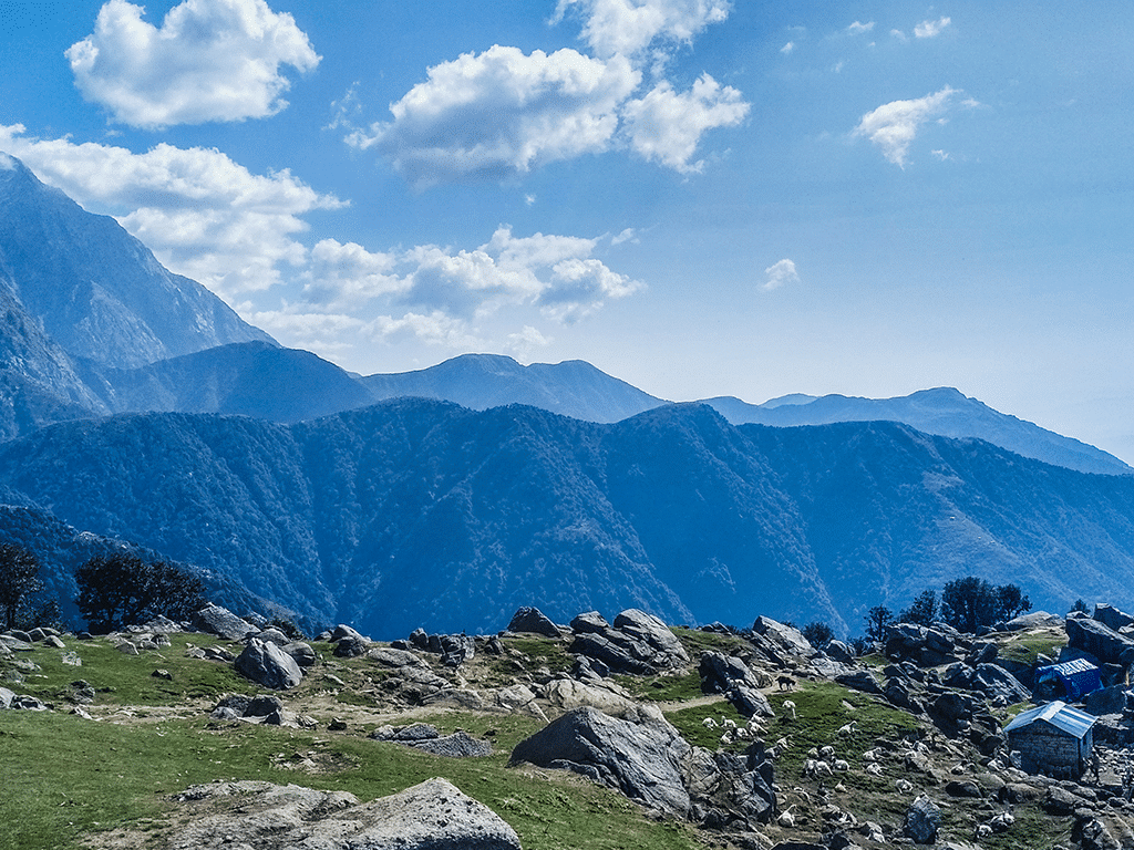 AVSA Stayz Dharamshala — Deodar hillside above McLeod Ganj