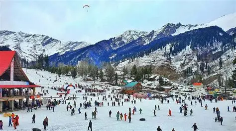 AVSA Stayz Manali — Pure-veg comfort by the Beas